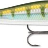 Rapala RipStop 09 Jerkbait -Fishing Gear Shop 31325175873625