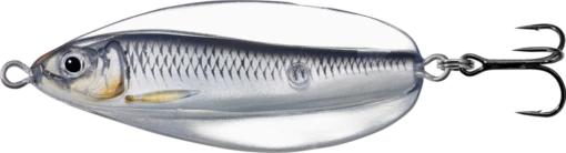 LIVETARGET Erratic Shiner Flutter Spoon -Fishing Gear Shop 31342331232345