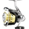 Daiwa Procyon LT Spinning Reels -Fishing Gear Shop 31403870912601