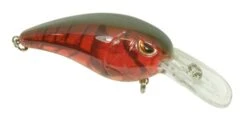 SPRO Mike McClelland RkCrawler 50 Medium Diving Crankbait -Fishing Gear Shop 31420391424089