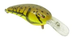 SPRO Mike McClelland RkCrawler 50 Medium Diving Crankbait -Fishing Gear Shop 31420391456857