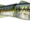 Chasebaits Drunken Mullet 95/130 Topwater Prop Lure -Fishing Gear Shop 31431098630233