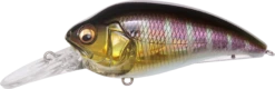 Megabass Super-Z Z-2 Deep Diving Crankbait -Fishing Gear Shop 31680796033113