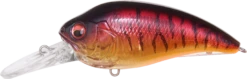 Megabass Super-Z Z-2 Deep Diving Crankbait -Fishing Gear Shop 31680796164185