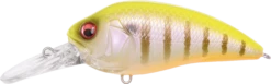 Megabass Super-Z Z-2 Deep Diving Crankbait -Fishing Gear Shop 31680796295257