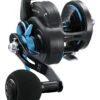 Daiwa Saltist Star Drag Conventional High Speed Reels -Fishing Gear Shop 32117718810713