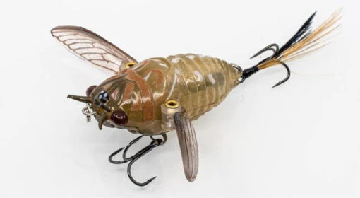 Chasebaits Ripple Cicada 1 3/4 Inch Wakebait Crawler -Fishing Gear Shop 32233146810457