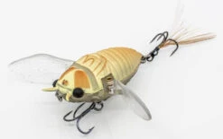 Chasebaits Ripple Cicada 1 3/4 Inch Wakebait Crawler -Fishing Gear Shop 32233146843225