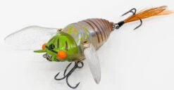 Chasebaits Ripple Cicada 1 3/4 Inch Wakebait Crawler -Fishing Gear Shop 32233146875993