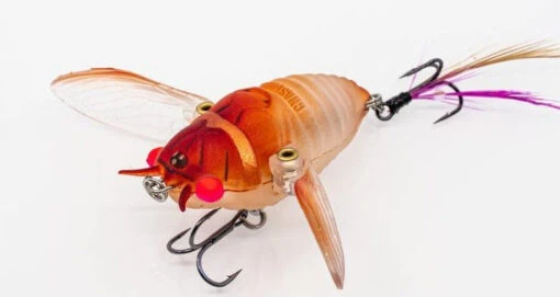 Chasebaits Ripple Cicada 1 3/4 Inch Wakebait Crawler -Fishing Gear Shop 32233146941529