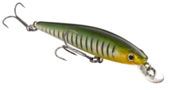 Strike King KVD 100 Series Suspending Shallow Jerkbait -Fishing Gear Shop 32272586408025