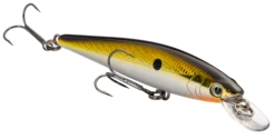 Strike King KVD 100 Series Suspending Shallow Jerkbait -Fishing Gear Shop 32272586539097