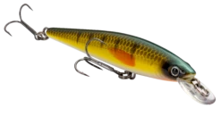 Strike King KVD 100 Series Suspending Shallow Jerkbait -Fishing Gear Shop 32272586637401