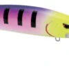 SPRO MadEye Minnow 120 Deep Diving Walleye Trolling Lure -Fishing Gear Shop 32339518554201