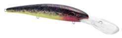 SPRO MadEye Minnow 120 Deep Diving Walleye Trolling Lure -Fishing Gear Shop 32339518914649