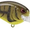 SPRO Little John MD 50 Type R Medium Diving Crankbait -Fishing Gear Shop 39332415406169