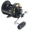 Shimano TLD Triton 1-Speed Lever Drag Conventional Reels -Fishing Gear Shop 39356718219353