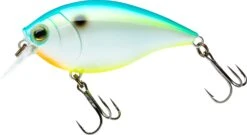 Hardcore Crank SR 65F Shallow Squarebill Crankbait -Fishing Gear Shop 39376003301465