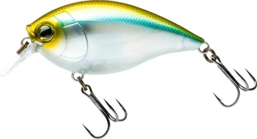 Hardcore Crank SR 65F Shallow Squarebill Crankbait -Fishing Gear Shop 39376003399769