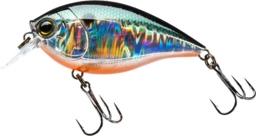 Hardcore Crank SR 65F Shallow Squarebill Crankbait -Fishing Gear Shop 39376003465305