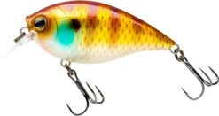 Hardcore Crank SR 65F Shallow Squarebill Crankbait -Fishing Gear Shop 39376003530841