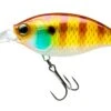 Hardcore Crank 70F 3+ Deep Diving Crankbait -Fishing Gear Shop 39376069034073