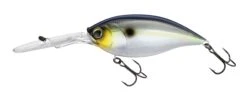 Hardcore Bullet Crank 100F 7+ Extra Deep Crankbait -Fishing Gear Shop 39406623457369