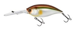 Hardcore Bullet Crank 100F 7+ Extra Deep Crankbait -Fishing Gear Shop 39406623621209