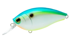 Hardcore Crank 65F 2+ Medium Crankbait -Fishing Gear Shop 39410750685273