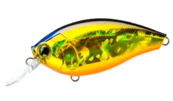 Hardcore Crank 65F 2+ Medium Crankbait -Fishing Gear Shop 39410750816345