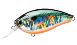 Hardcore Crank 65F 2+ Medium Crankbait -Fishing Gear Shop 39410750849113