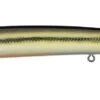 Daiwa Steez Custom HMKL Minnow Jerkbait -Fishing Gear Shop 39553567490137