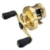 Shimano Calcutta A Conquest 100/200 Round Casting Reel -Fishing Gear Shop 39698442551385