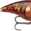 Rapala BX Mid-Brat 05 Squarebill Crankbait -Fishing Gear Shop 39740178038873