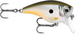 Rapala BX Mid-Brat 05 Squarebill Crankbait -Fishing Gear Shop 39740178169945