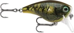 Rapala BX Mid-Brat 05 Squarebill Crankbait -Fishing Gear Shop 39740178366553