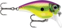 Rapala BX Mid-Brat 05 Squarebill Crankbait -Fishing Gear Shop 39740178432089