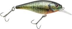 Berkley Flicker Shad Shallow Crankbait -Fishing Gear Shop 39767092920409