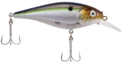 Berkley Flicker Shad Shallow Crankbait -Fishing Gear Shop 39767092985945