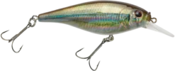 Berkley Flicker Shad Shallow Crankbait -Fishing Gear Shop 39767093248089