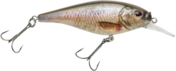 Berkley Flicker Shad Shallow Crankbait -Fishing Gear Shop 39767093313625