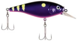 Berkley Flicker Shad Shallow Crankbait -Fishing Gear Shop 39767093379161