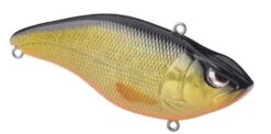 SPRO Aruku Shad 75 Silent -Fishing Gear Shop 39781642993753