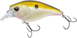 Nomad Design Atlas Squarebill Crankbait -Fishing Gear Shop 39840471908441