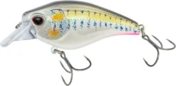 Nomad Design Atlas Squarebill Crankbait -Fishing Gear Shop 39840471973977