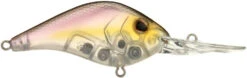 Berkley Dredger Deep Diving Crankbait -Fishing Gear Shop 40324994269273