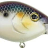 Berkley Dredger Deep Diving Crankbait Deeper Diving Models -Fishing Gear Shop 40325003018329