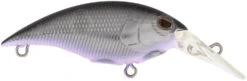 Berkley Money Badger Trolling Plug / Crankbait -Fishing Gear Shop 40326907232345