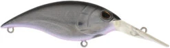 Berkley Money Badger Deep Diving Trolling Plug / Crankbait -Fishing Gear Shop 40326922567769