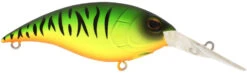 Berkley Money Badger Deep Diving Trolling Plug / Crankbait -Fishing Gear Shop 40326922862681